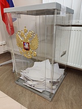 Выборы депутатов Государственной Думы Федерального Собрания Российской Федерации восьмого созыва